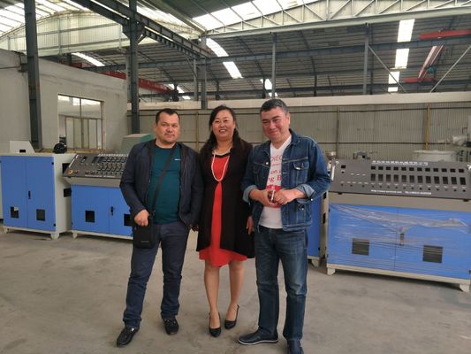 良い価格 PEの二重壁は機械を作る管の生産ライン/管を波形を付けました オンライン